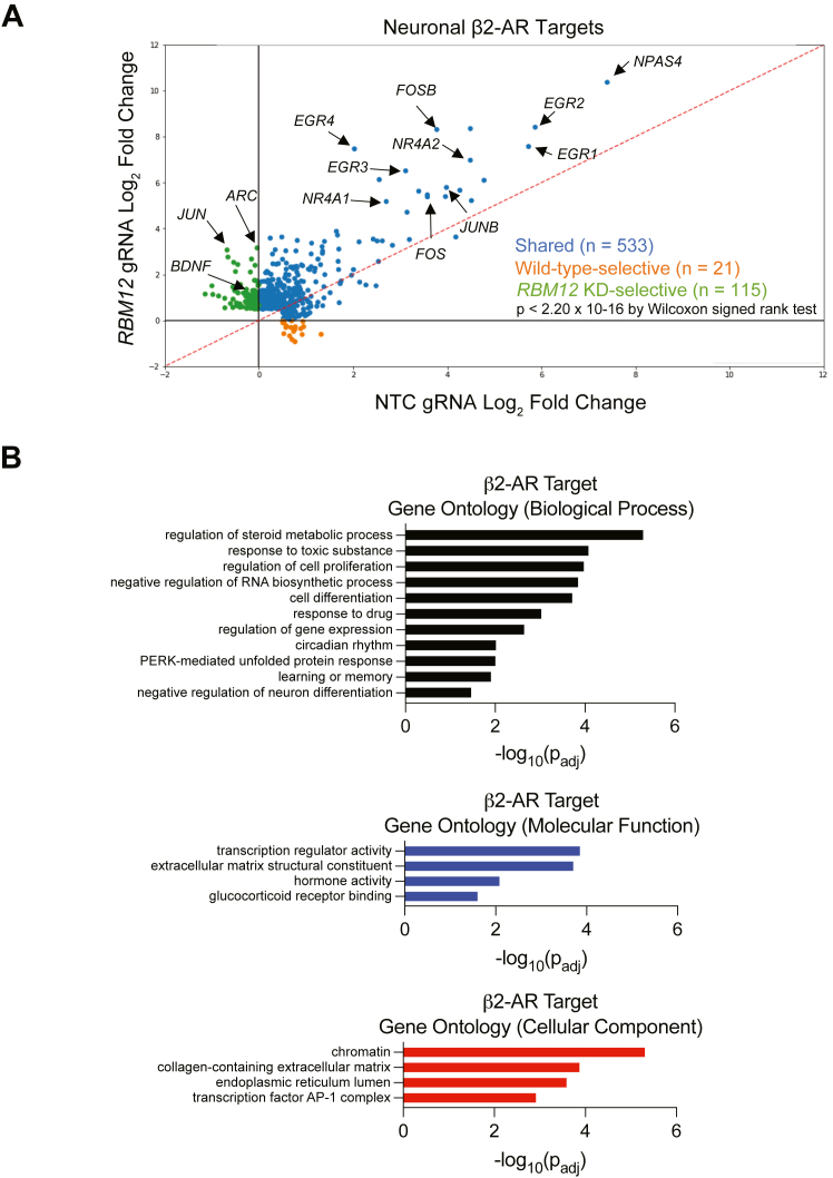 Figure 6