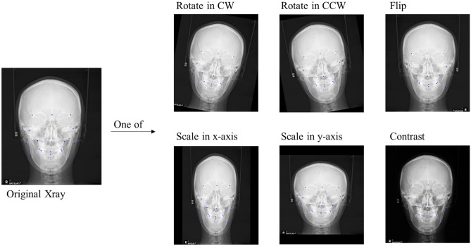 Figure 5