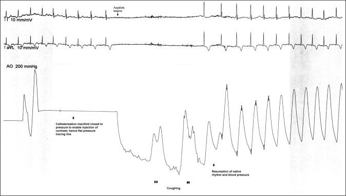 Figure 1)