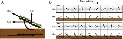 Fig. 1.