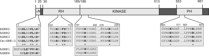 FIGURE 1.