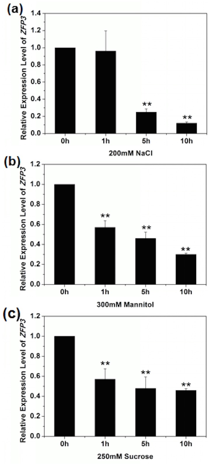 Fig 5