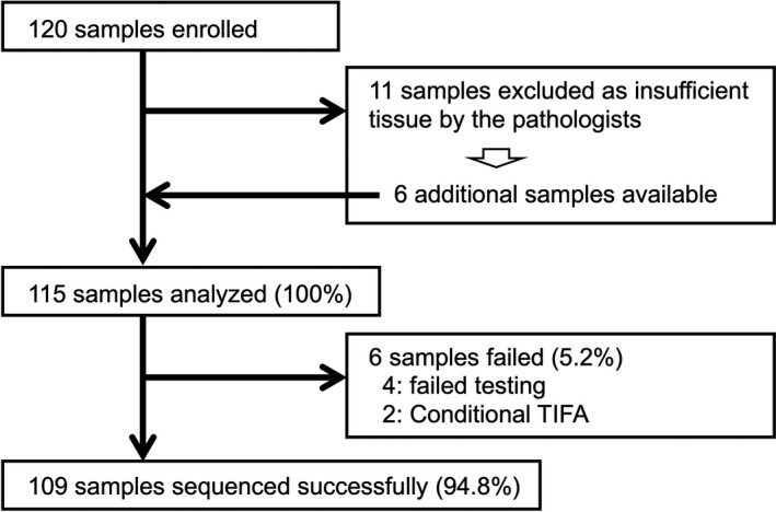 FIGURE 1