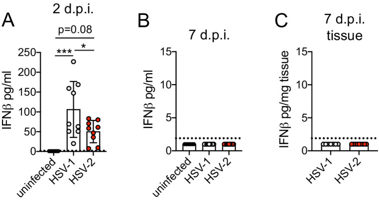 Figure 3—figure supplement 3.