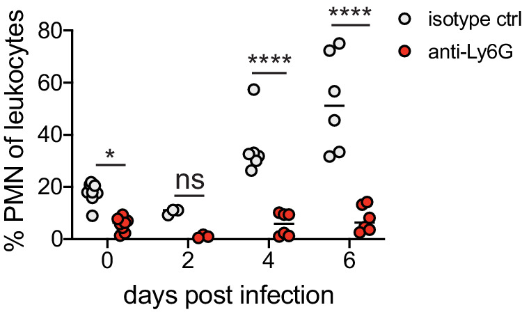 Figure 1—figure supplement 1.