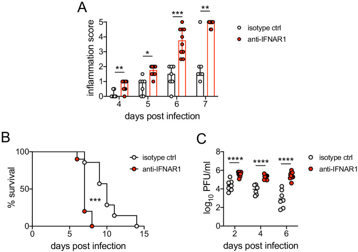 Figure 4—figure supplement 1.