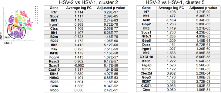 Figure 3—figure supplement 1.