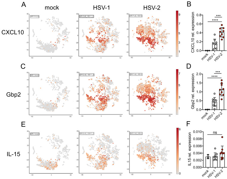 Figure 3—figure supplement 2.