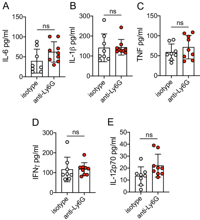 Figure 6—figure supplement 1.