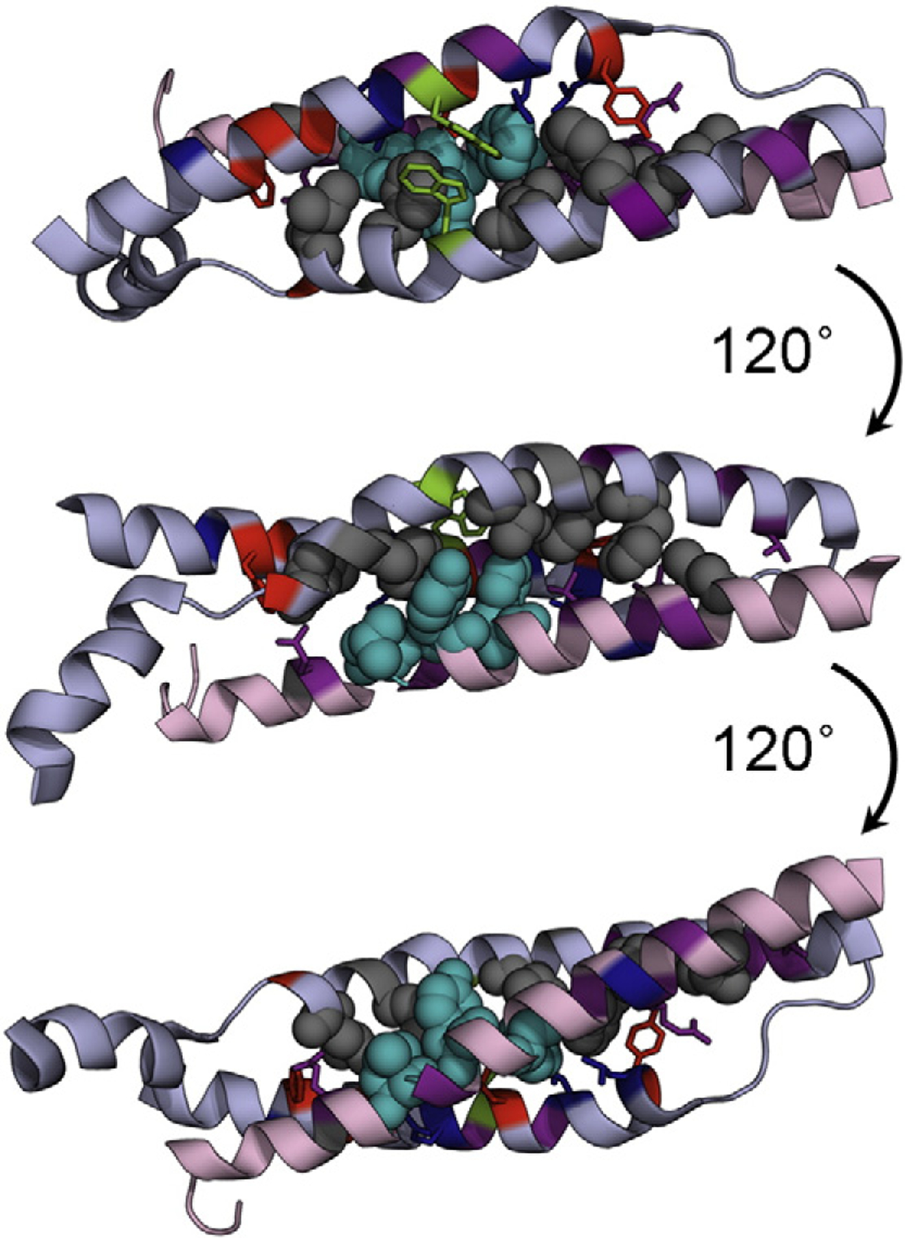 Fig. 6.