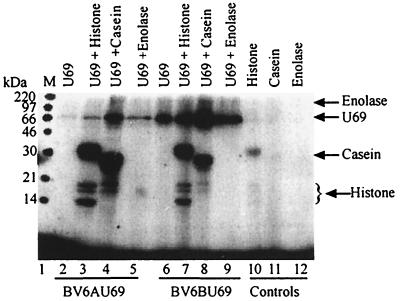 FIG. 9