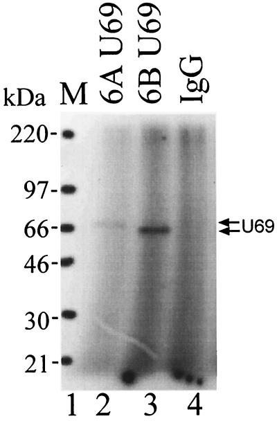 FIG. 5