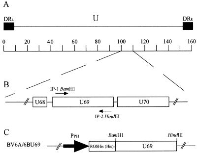 FIG. 1