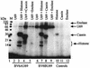 FIG. 9