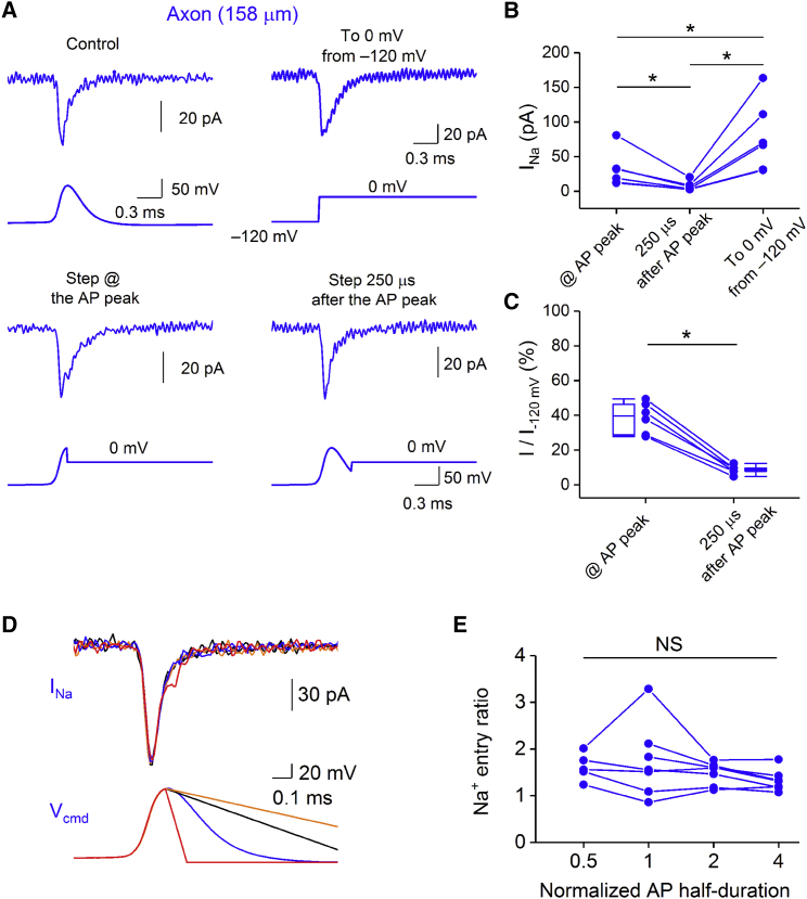 Figure 4