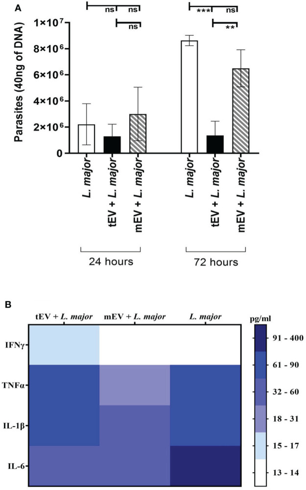 Figure 7