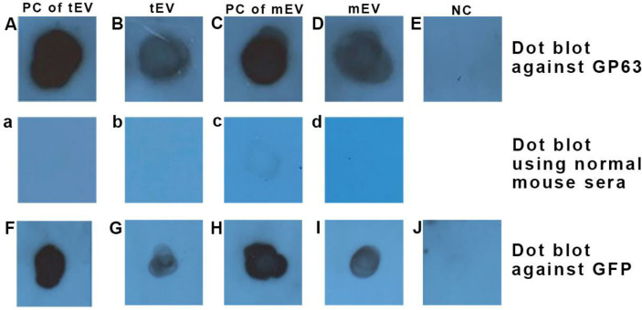 Figure 4