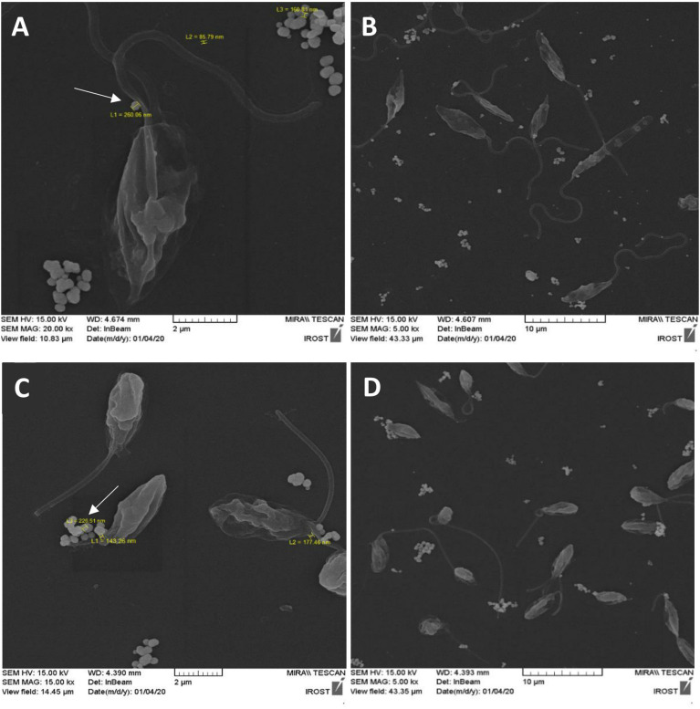 Figure 2