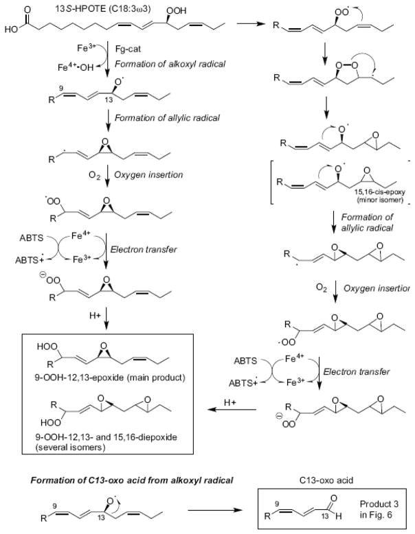 Scheme 4