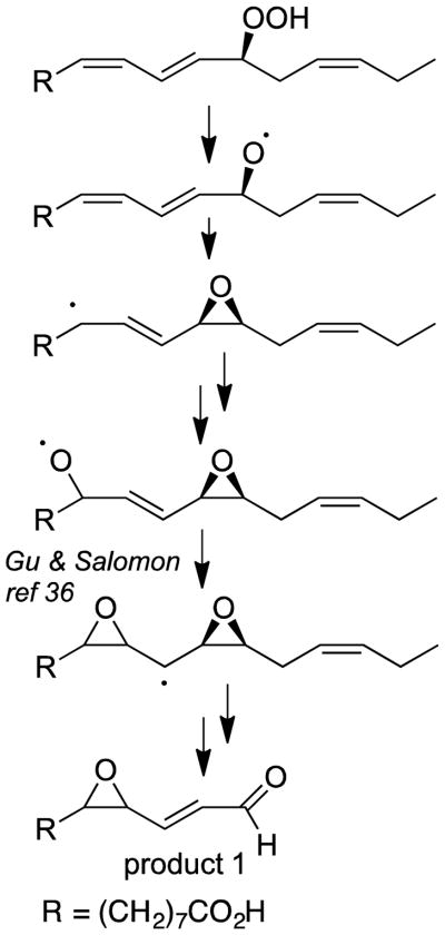 Scheme 3