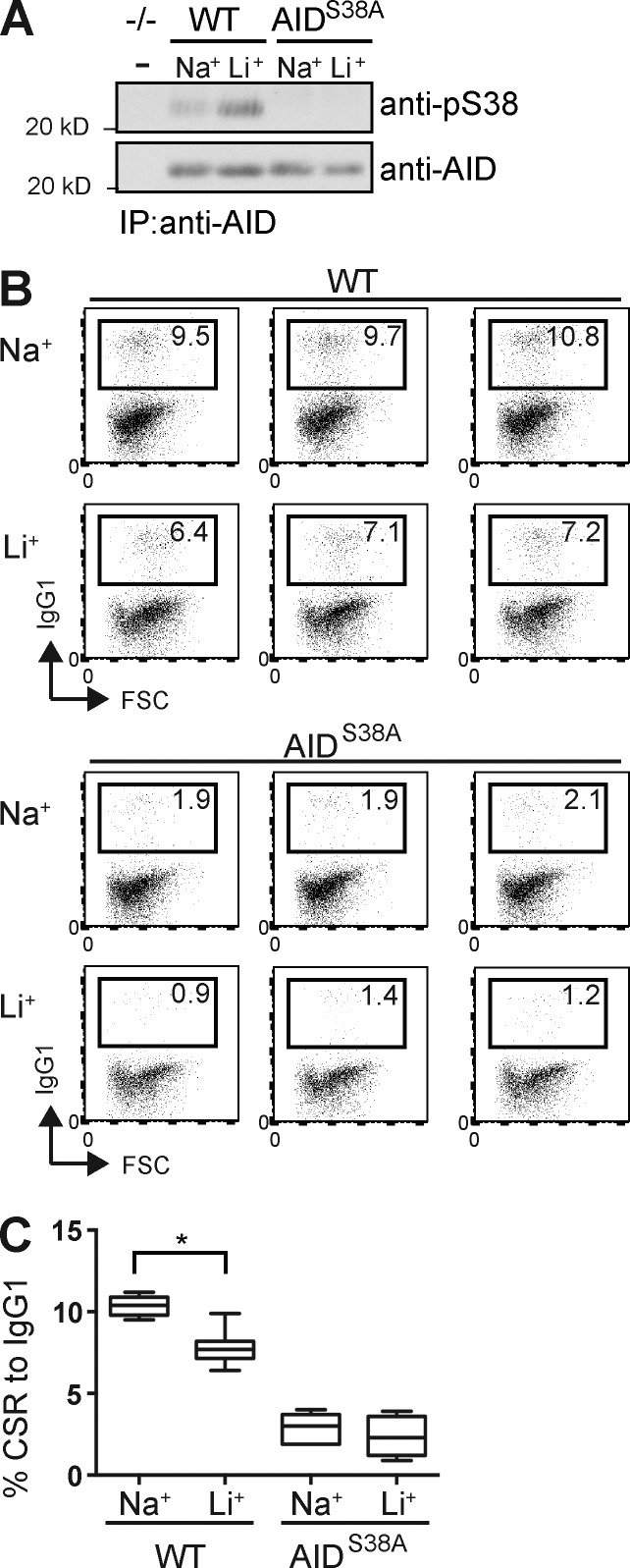 Figure 3.