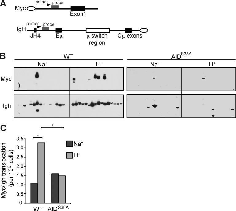 Figure 4.