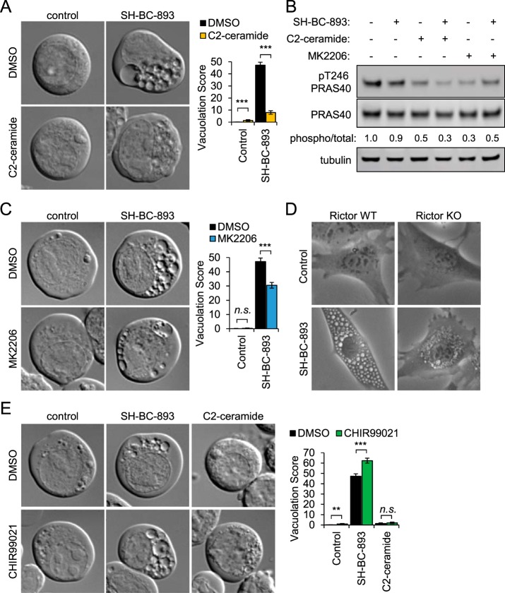 Fig. 8.