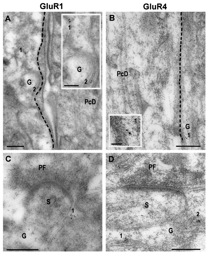 Fig. 10.