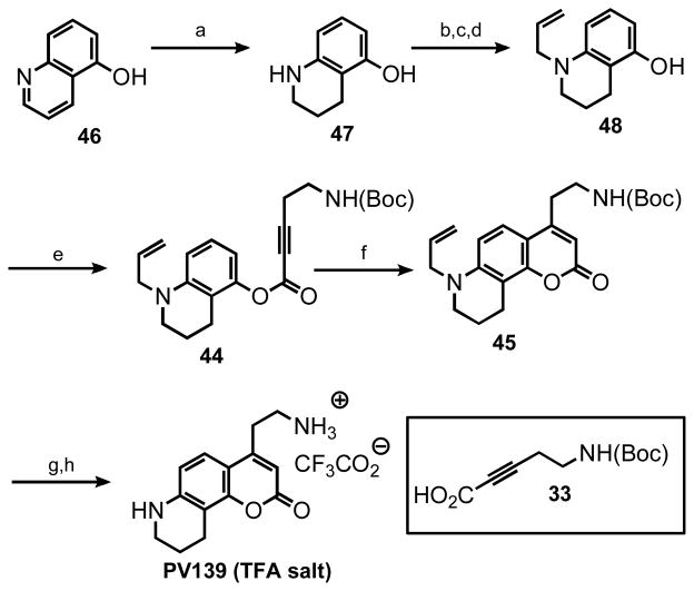 Scheme 5