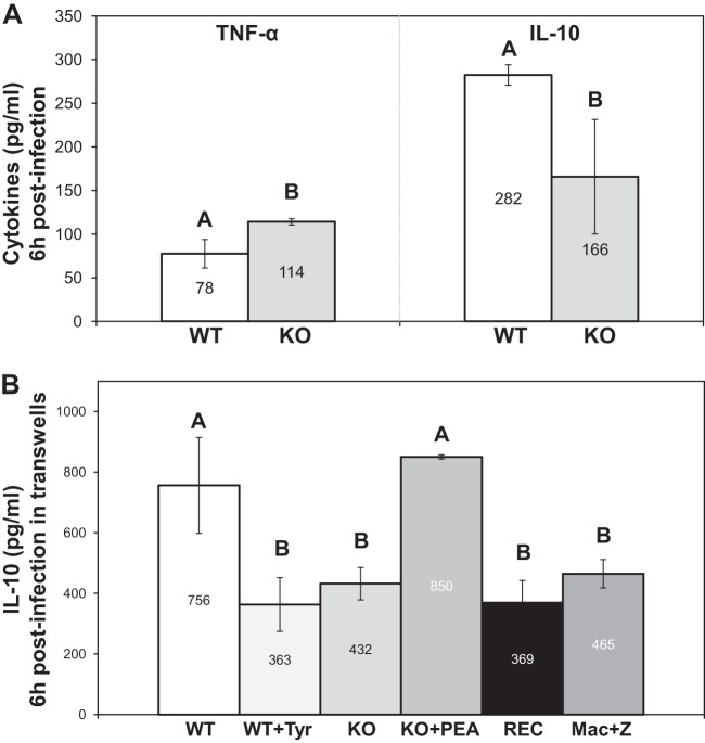 FIG 4