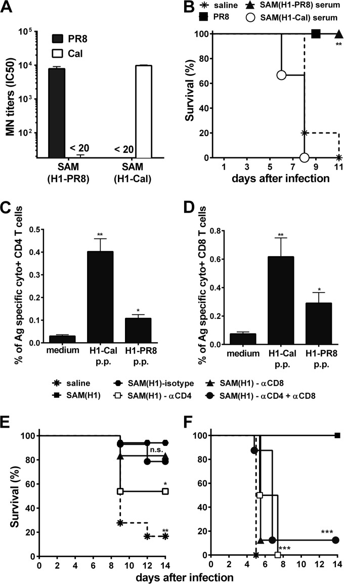 FIG 6