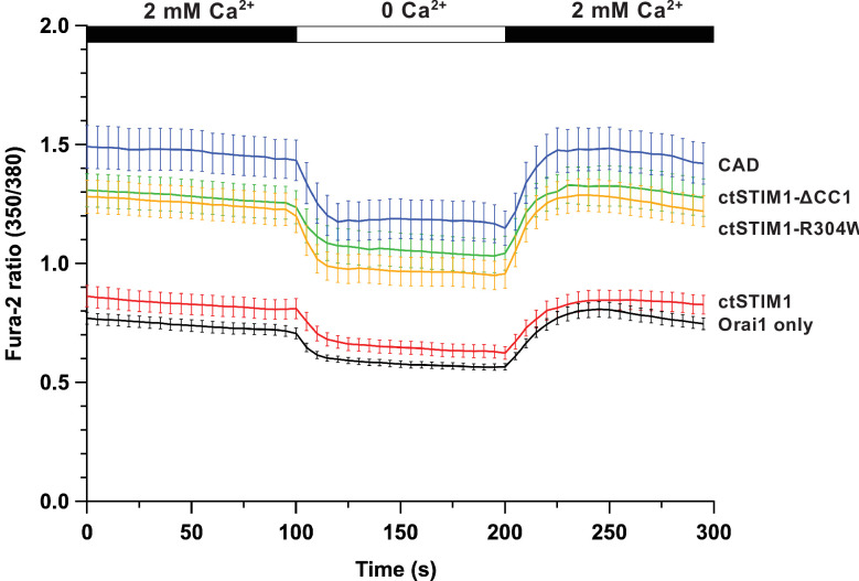 Figure 6—figure supplement 1.