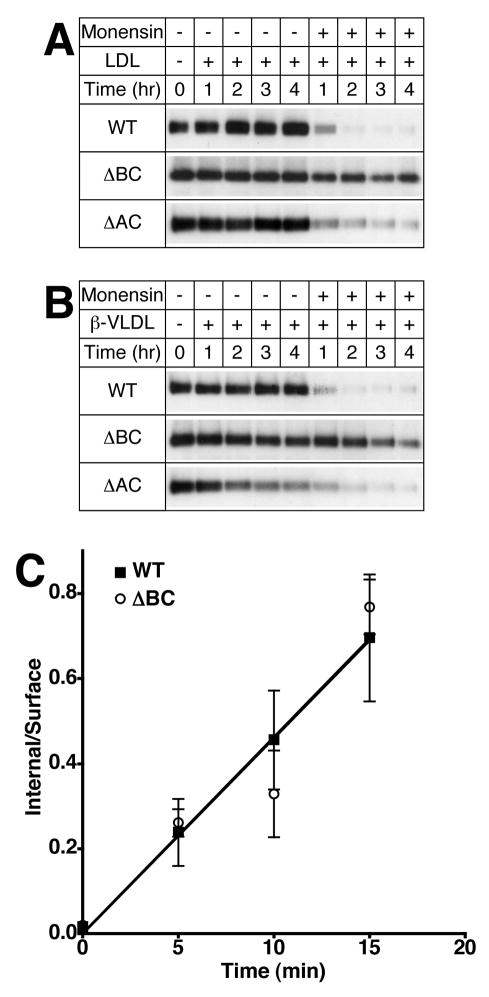 Figure 10