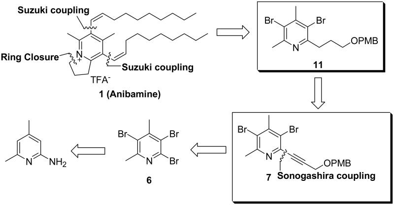 Scheme 1