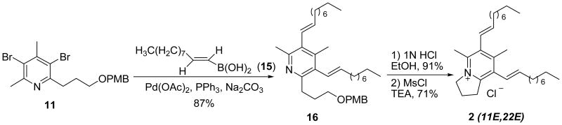 Scheme 4