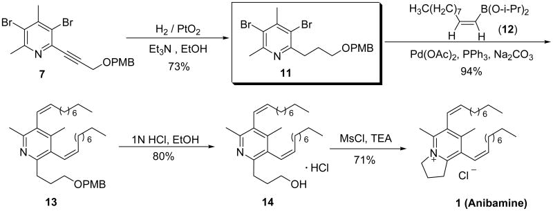 Scheme 3