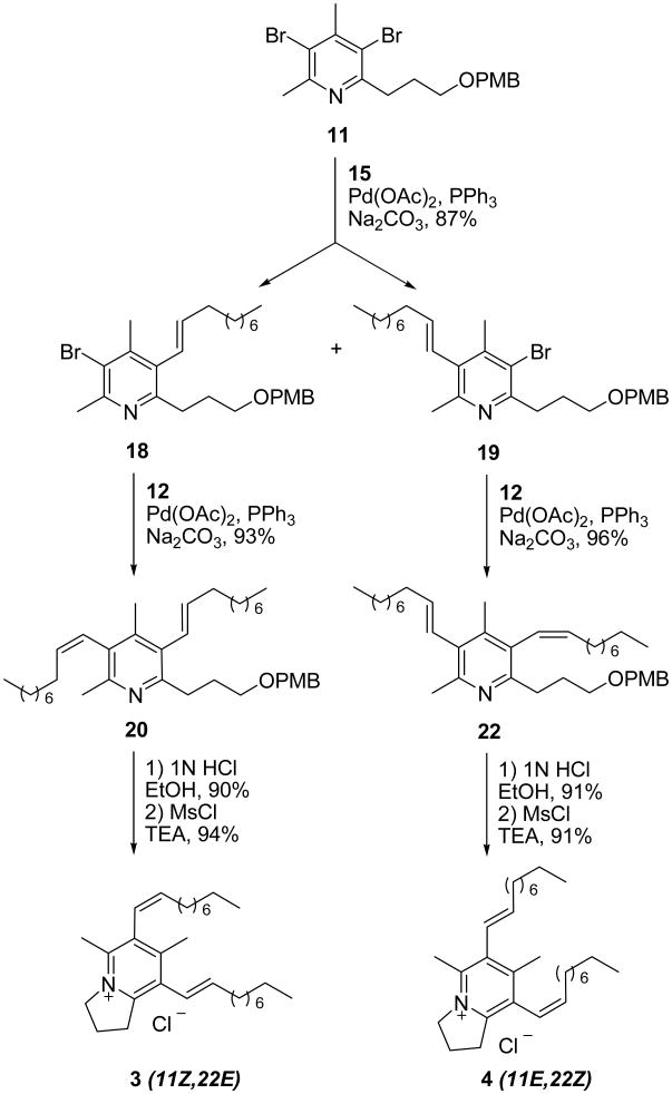 Scheme 5