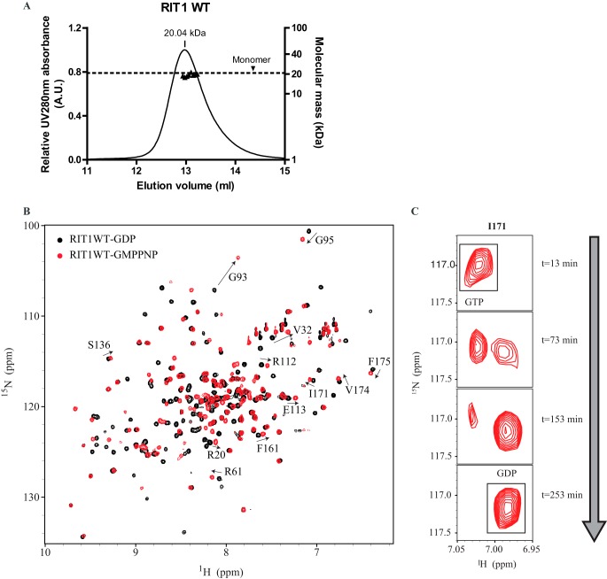 FIGURE 2.