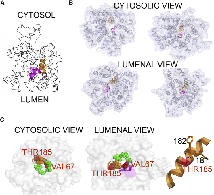 Figure 3