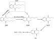 Fig 7