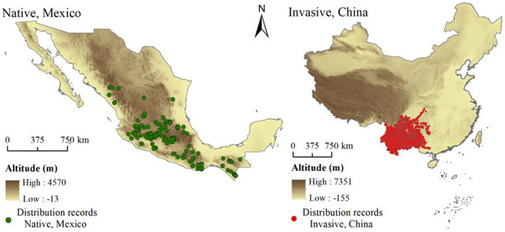 FIGURE 1