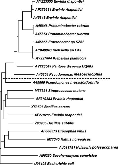 FIG. 1.