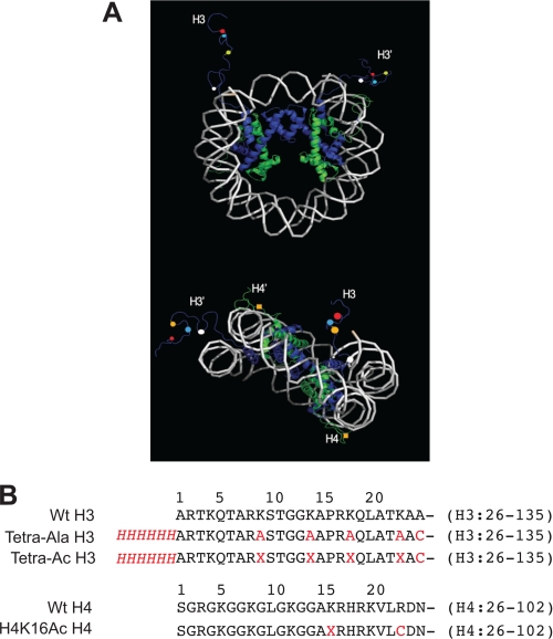 FIGURE 2.