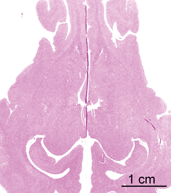 Figure 2d: