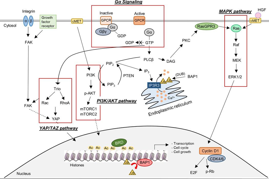 Figure 1: