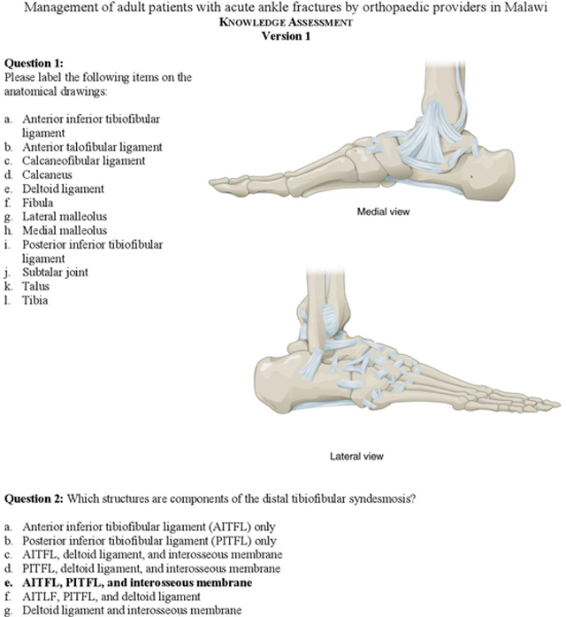 graphic file with name nihms-1735243-f0006.jpg