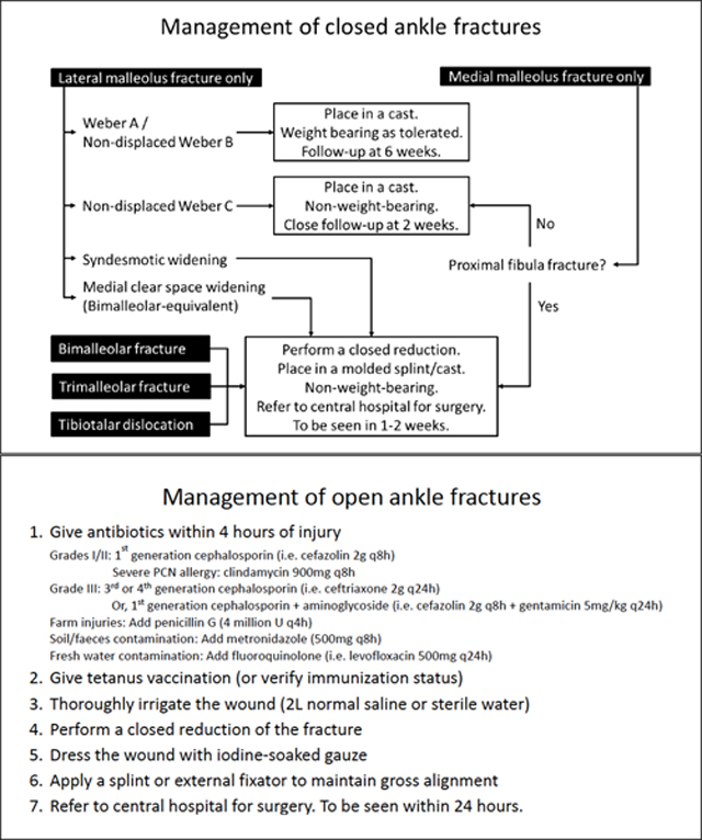 graphic file with name nihms-1735243-f0023.jpg