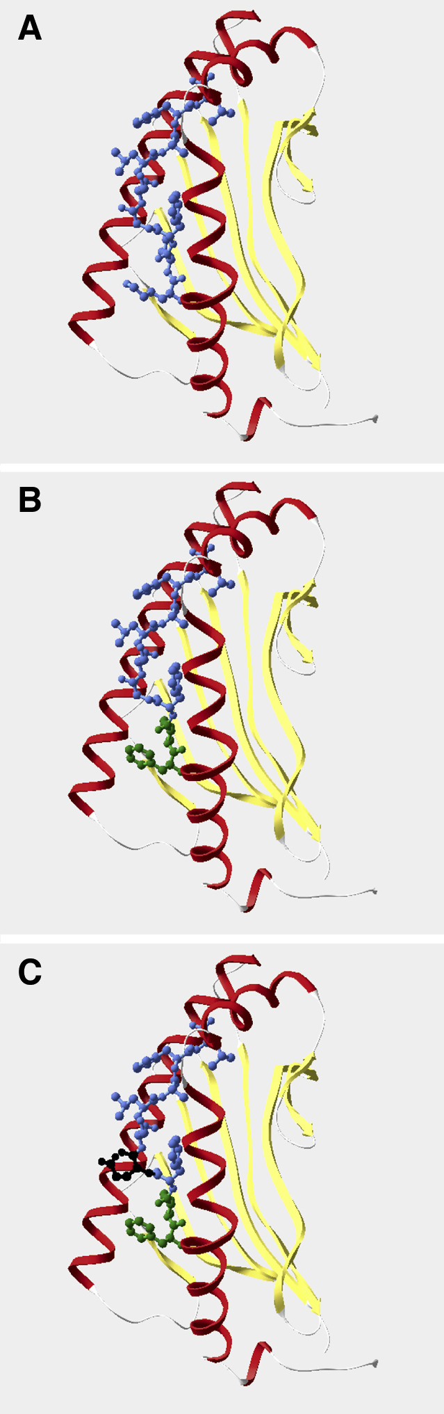 Fig. 2A–C