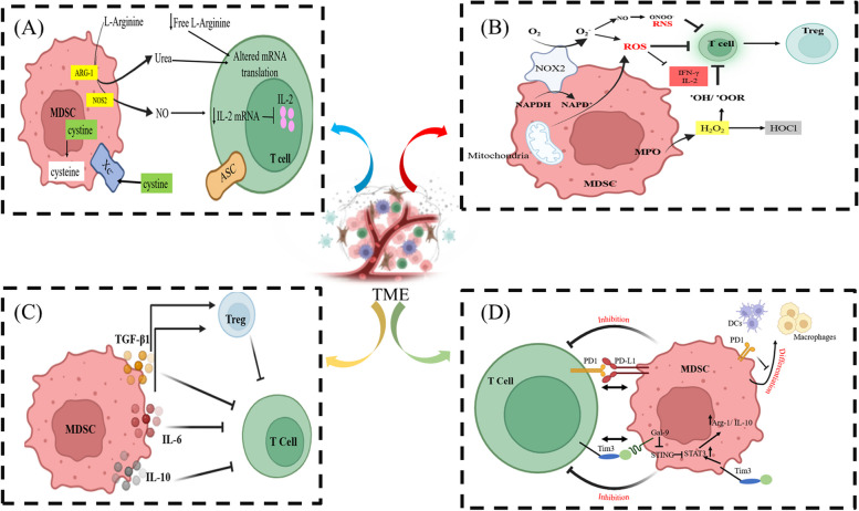 Fig. 2