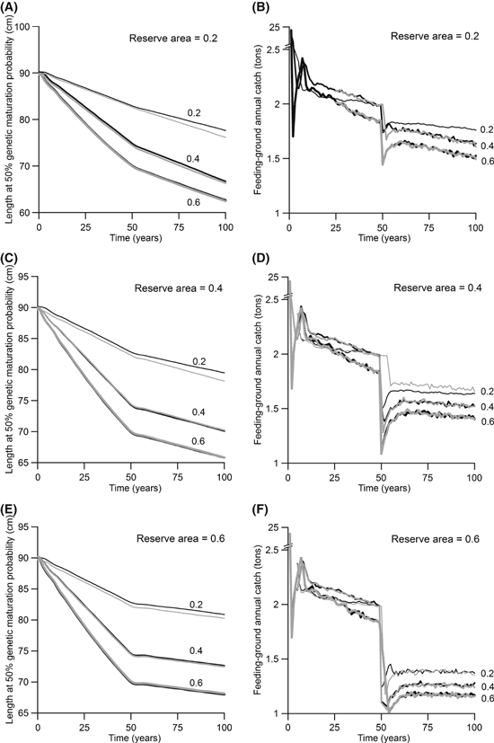 Figure C1